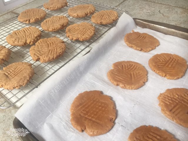 CINNAMON PEANUT BUTTER BANANA COOKIES