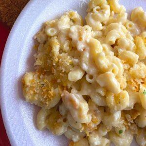 Queso Fresco Mac and Cheese on a white plate.