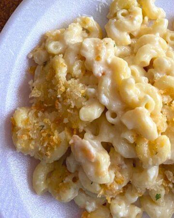 Queso Fresco Mac and Cheese on a white plate.