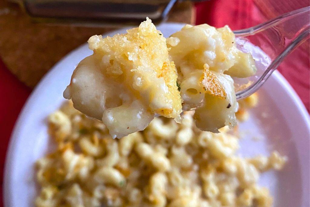 Queso Fresco Mac and Cheese close up.